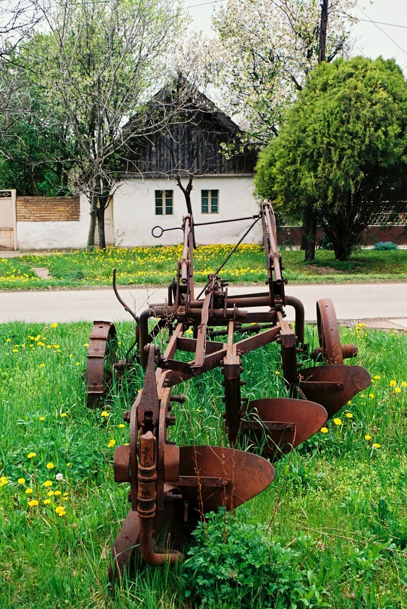 Temerini utcarészlet