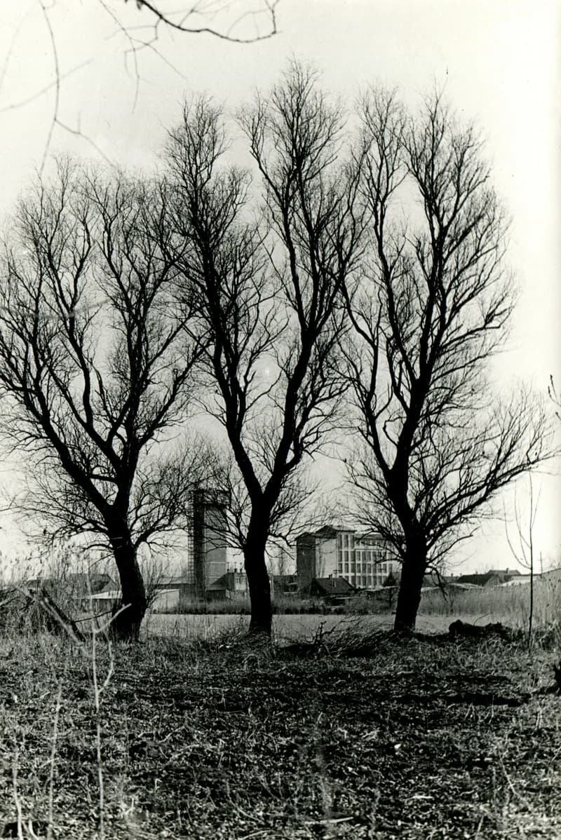 Union malom és tűzoltó otthon