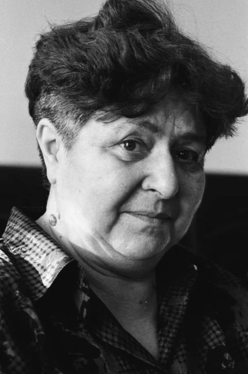 "Téves csatatéren"