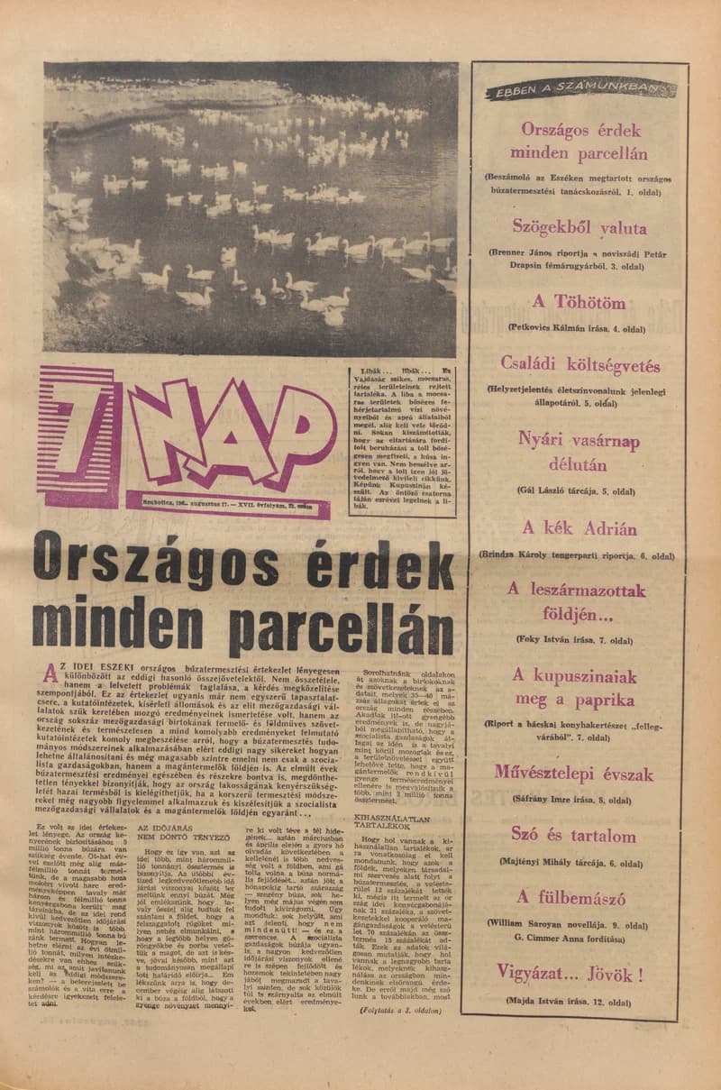 7 Nap, 17. évf. 1962. augusztus 17. 32. sz. 1–20. oldal