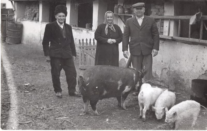 Elek Szilveszter gazdasági udvarában