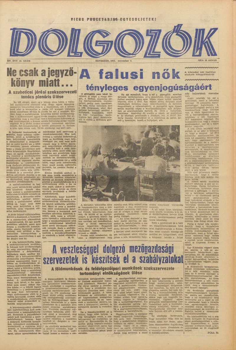 Dolgozók, 15. évf. 1961. november 3. 45. sz.