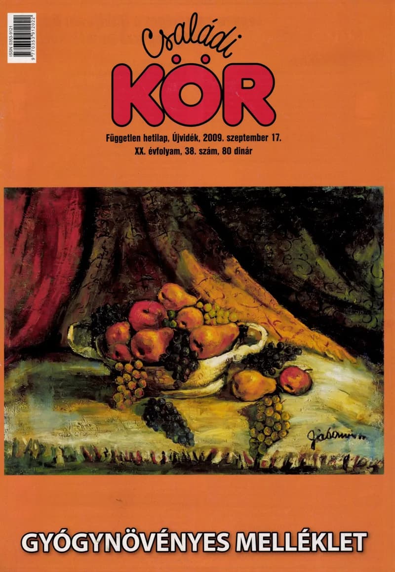 Családi Kör, 20. évf. 2009. szeptember 17. 38. sz.