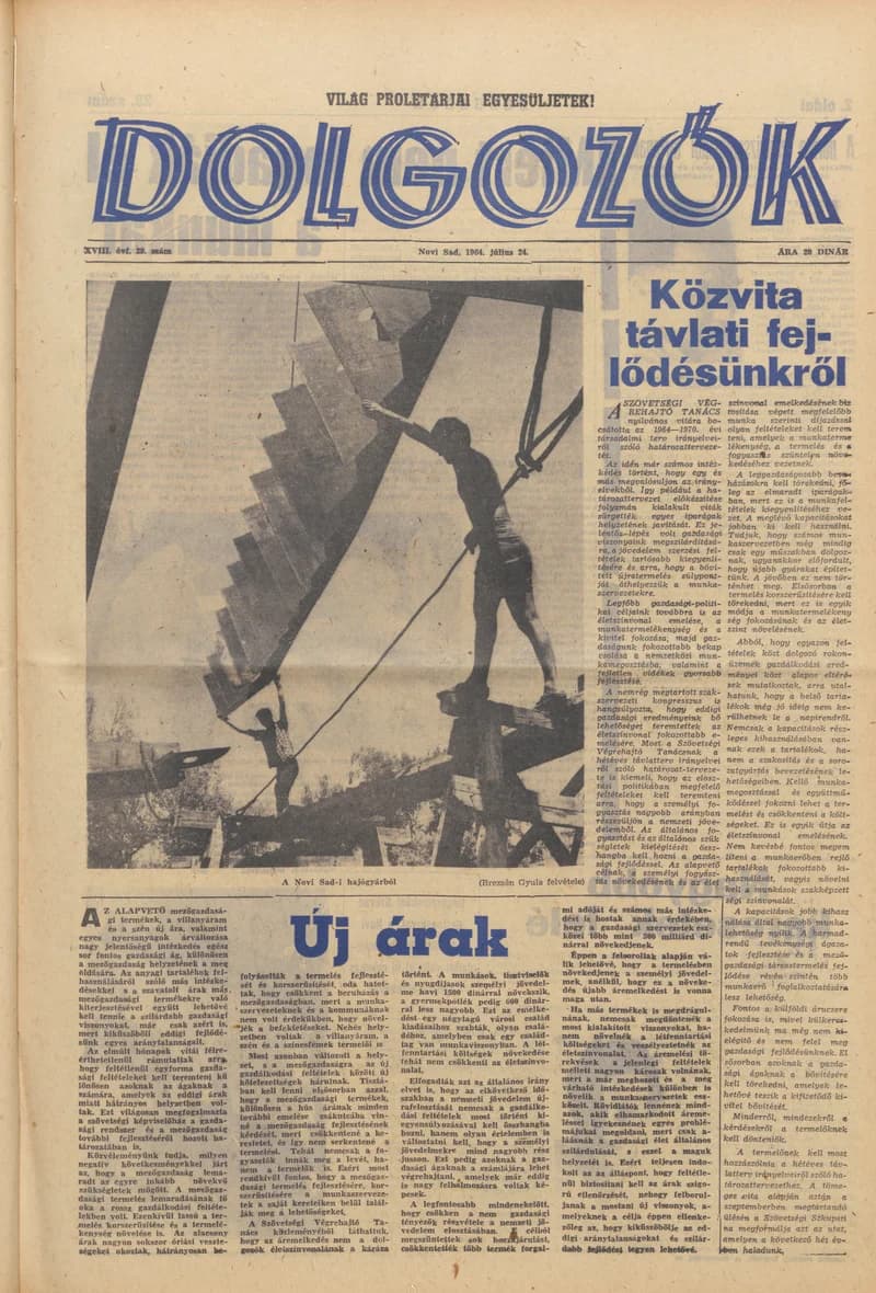Dolgozók, 18. évf. 1964. július 24. 29. sz.