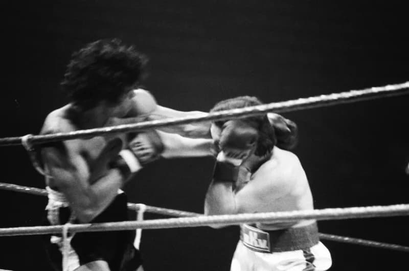 Ökölvívás Milánóban /Miguel Angel Cuello - Mate Parlov/