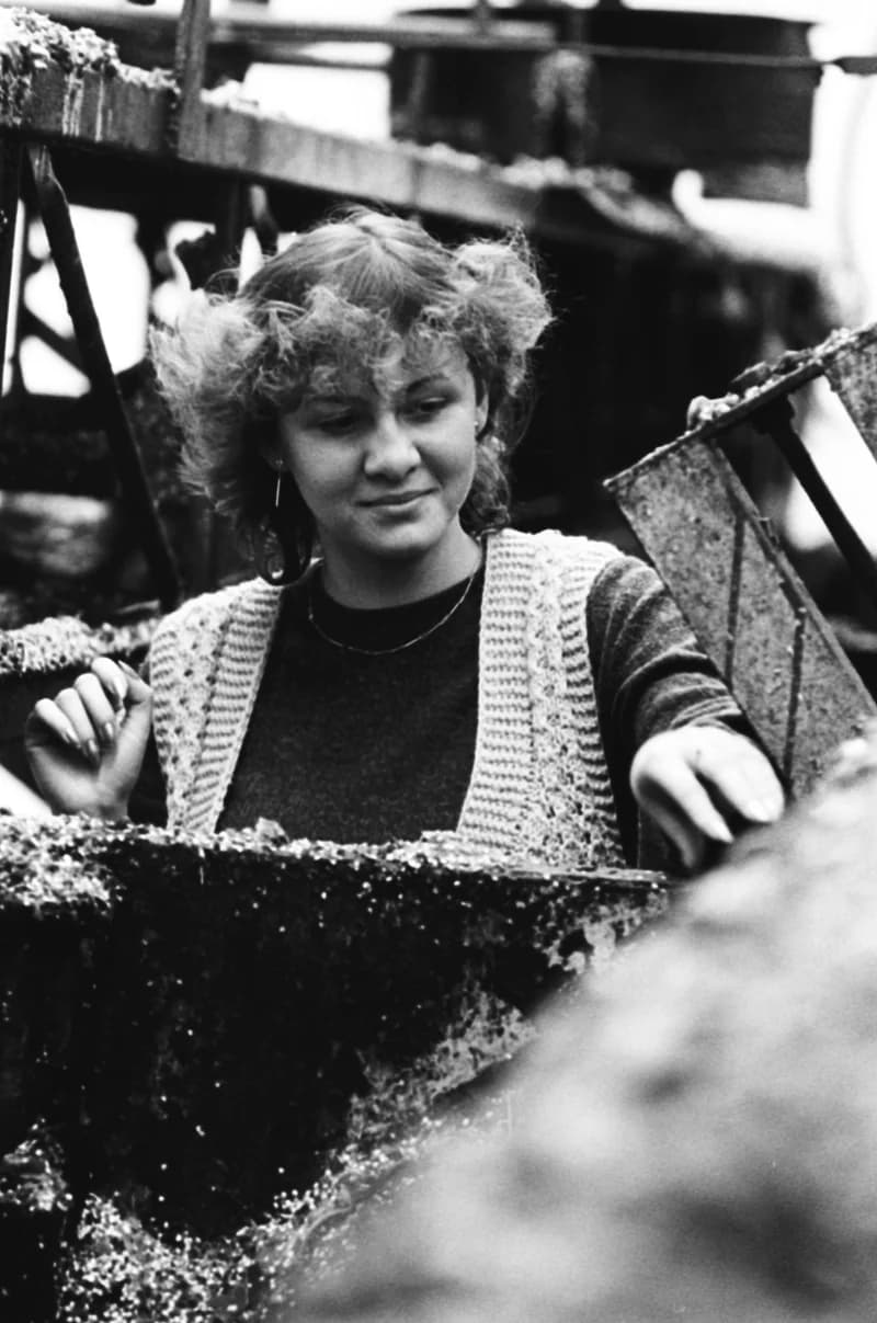 Vitamin Paprikagyár