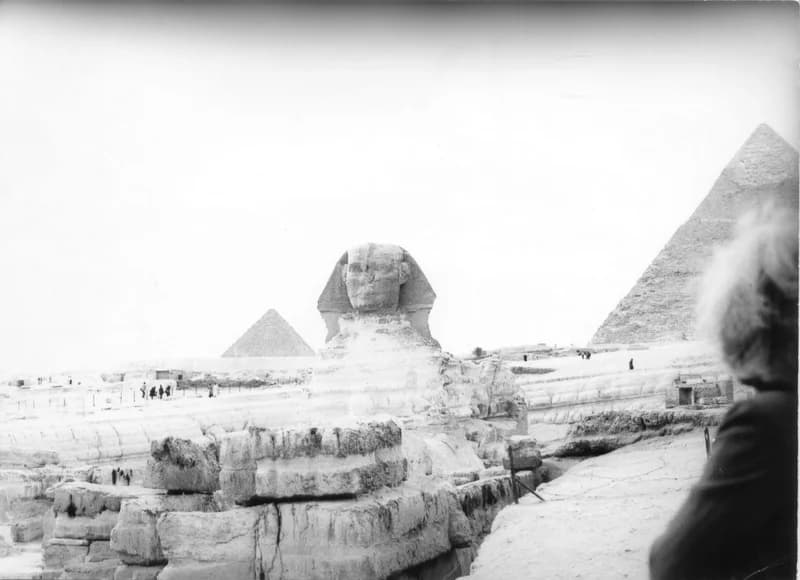 A Fehér család Egyiptomban