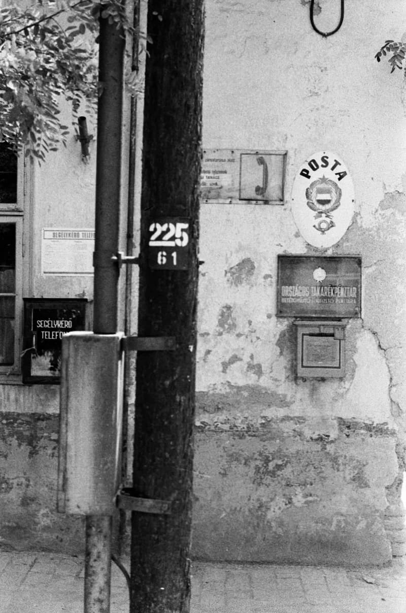 Gyurkovics Hunor és a Pelikán lányok