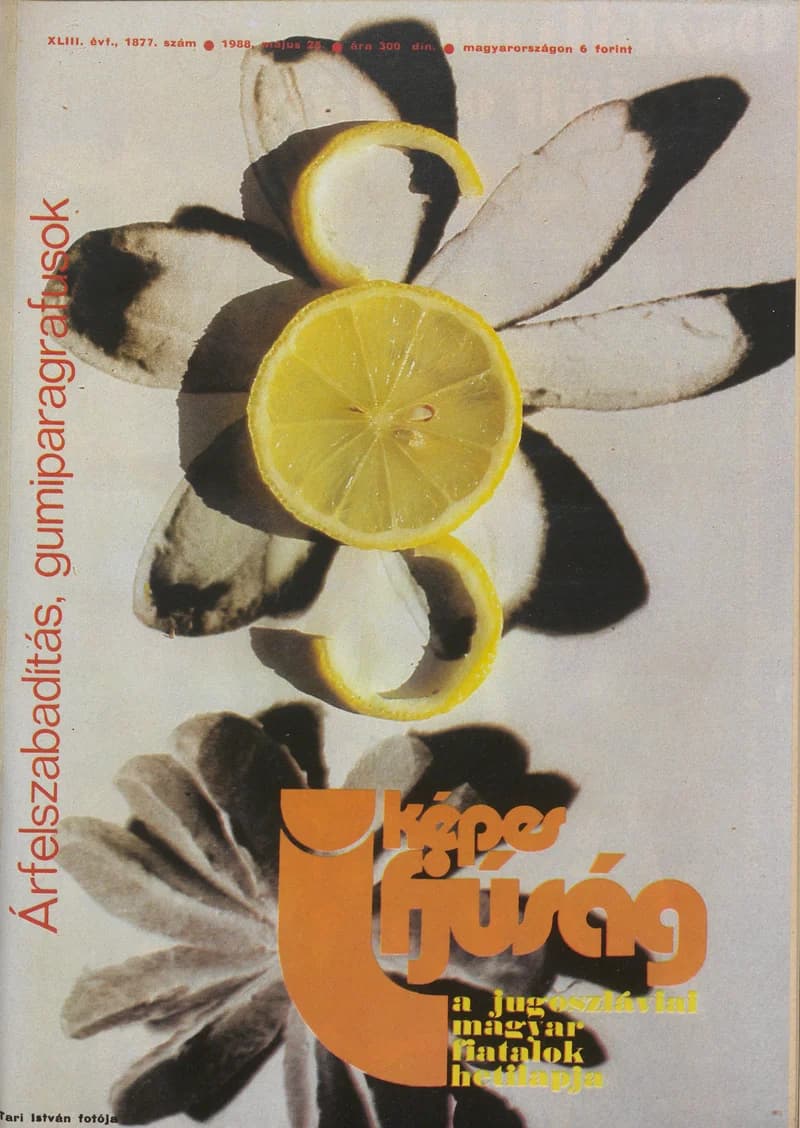 Képes Ifjúság, 44. évf. 1988. május 25. 1877. sz.