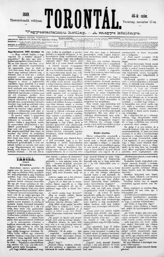 Torontál, 18. évf. 1889. november 17. 46. sz.