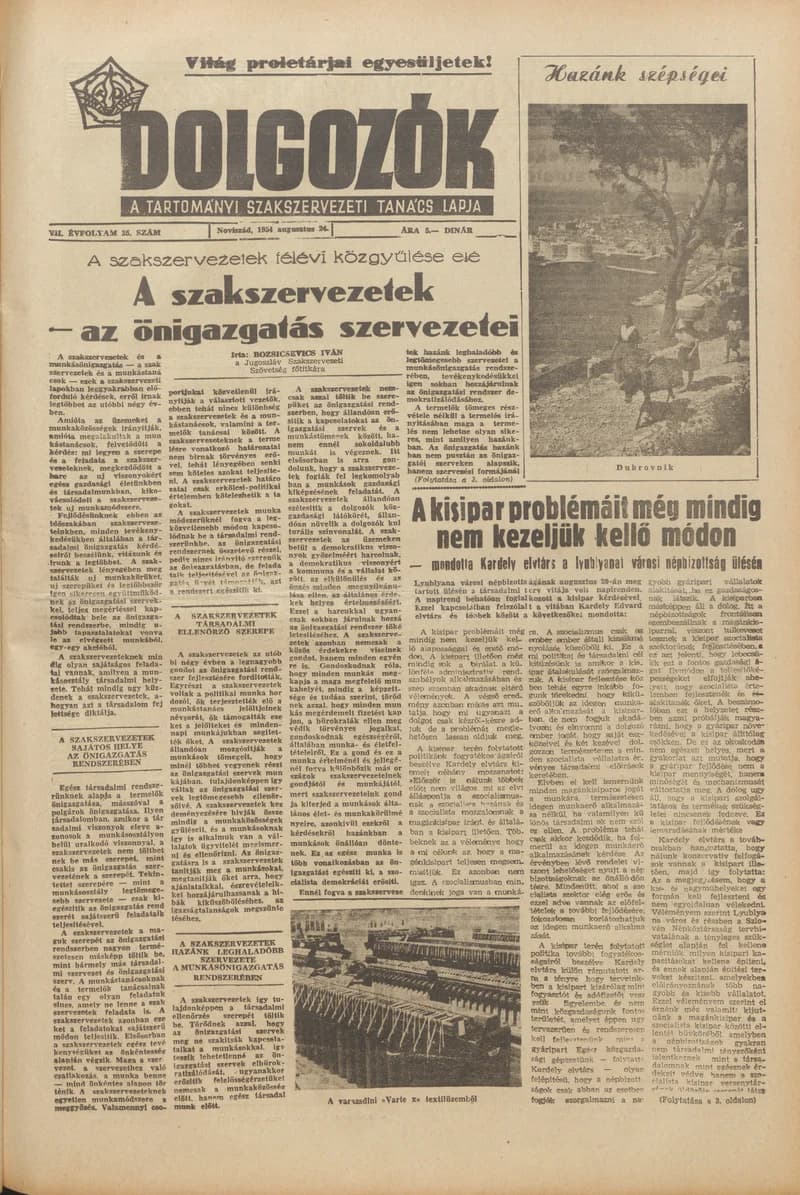 Dolgozók, 8. évf. 1954. augusztus 24. 35. sz.
