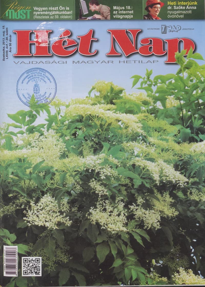 7 Nap, 68. évf. 2013. május 15. 20. sz.