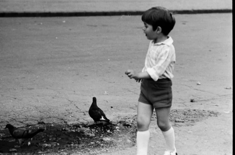 Gyerekek Újvidék utcáin