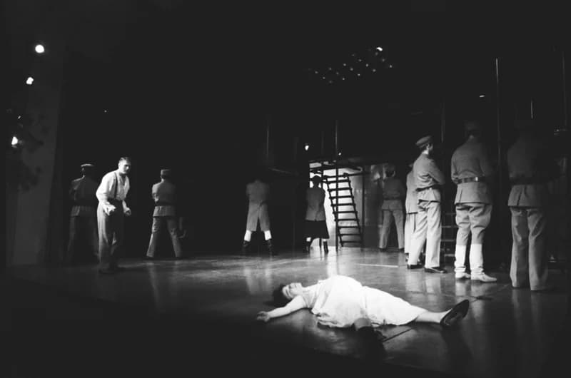 Georg Büchner : Woyzeck