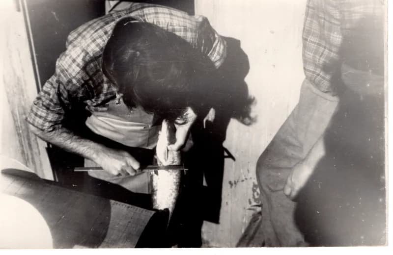 Halászszövetségi tevékenység -  harcsamérés