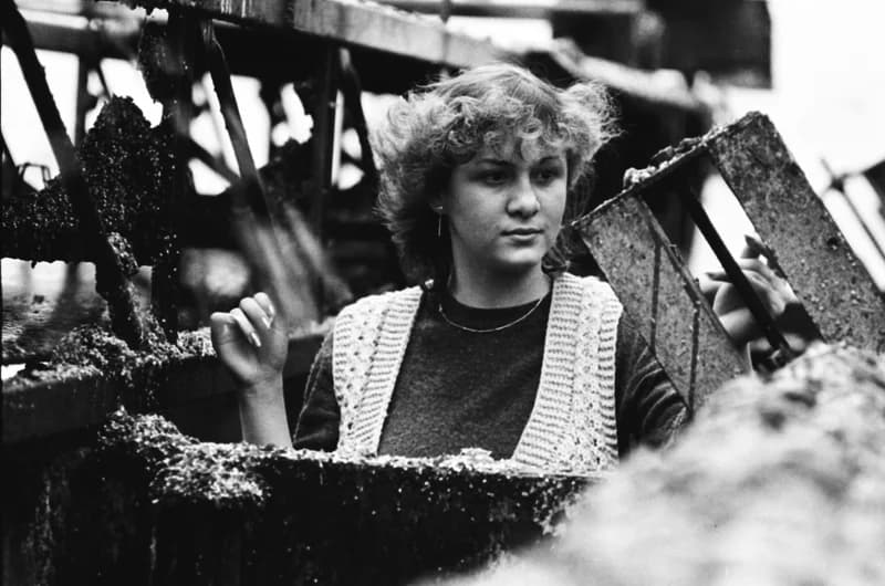 Vitamin Paprikagyár