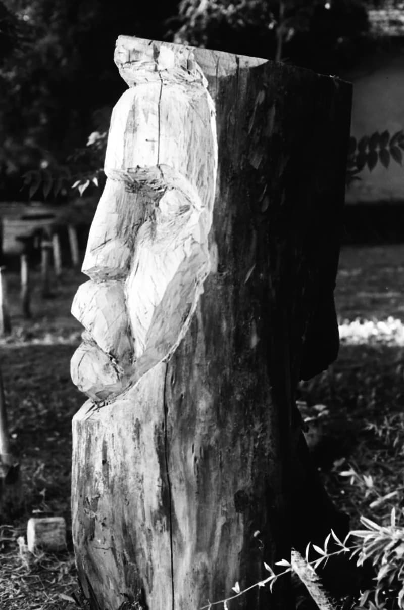 Polyák Ferenc fafaragó