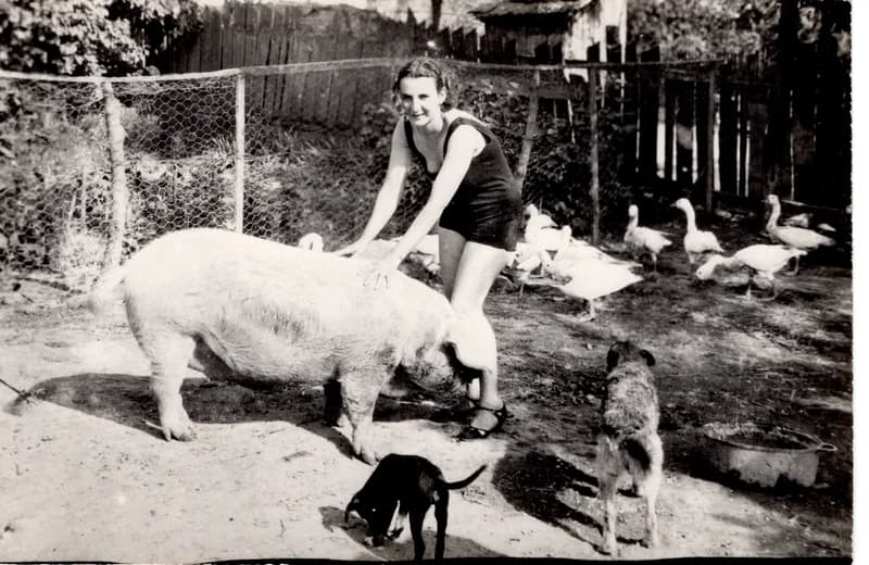 Thurzó Lajos felesége