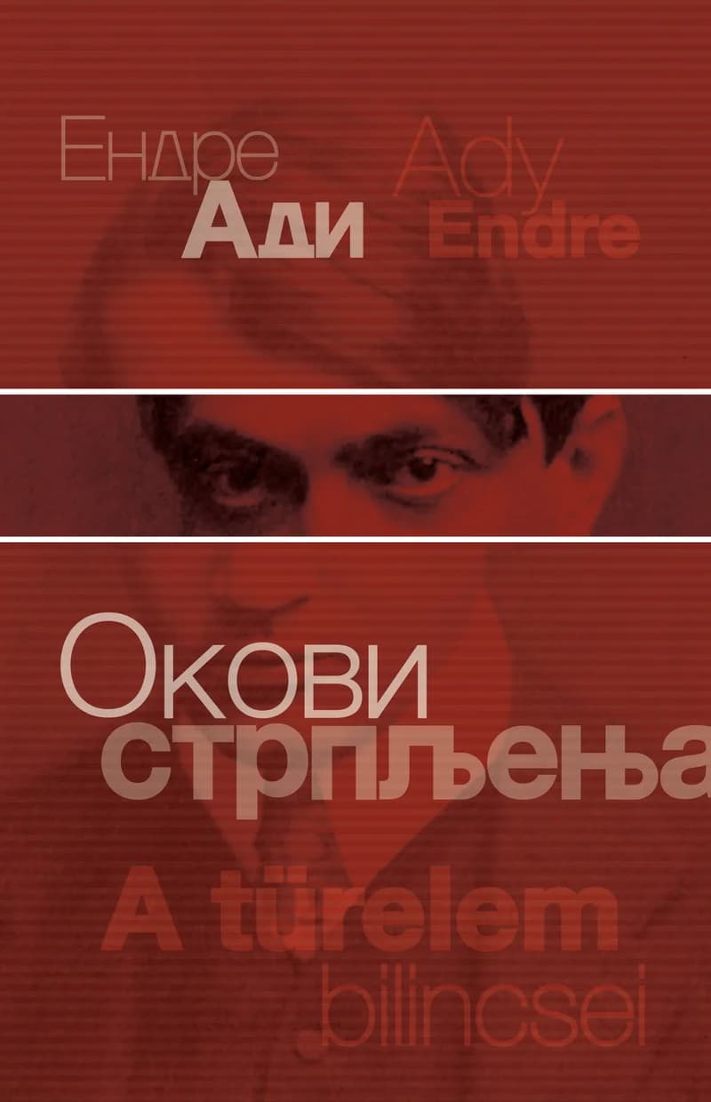 Окови стрпљења (A türelem bilincsei)