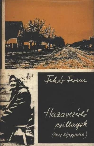 Hazavezérlő csillagok