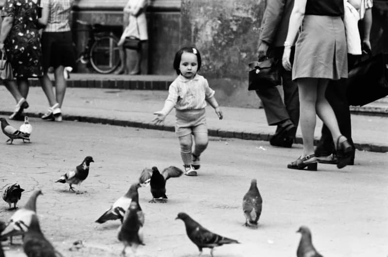 Gyerekek Újvidék utcáin