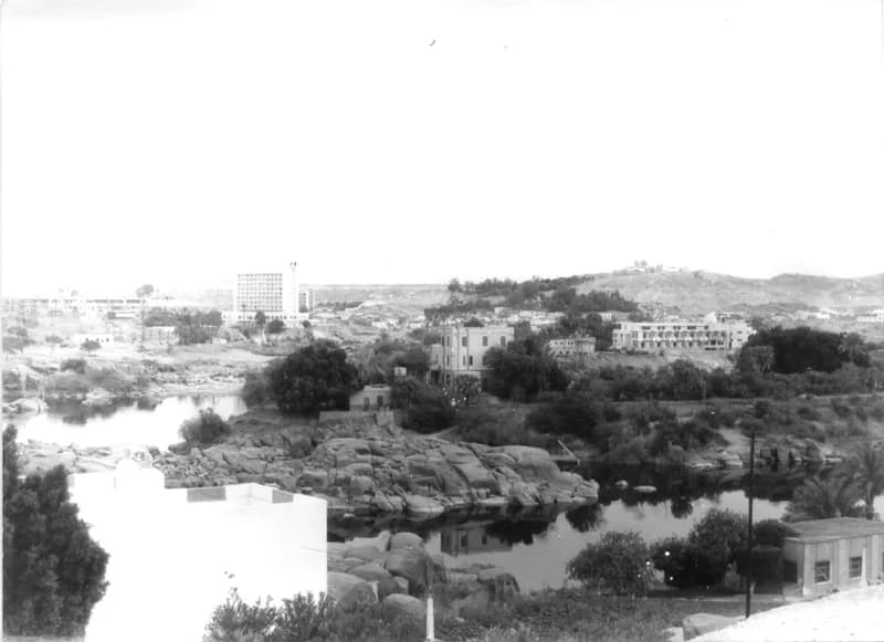 A Fehér család Egyiptomban