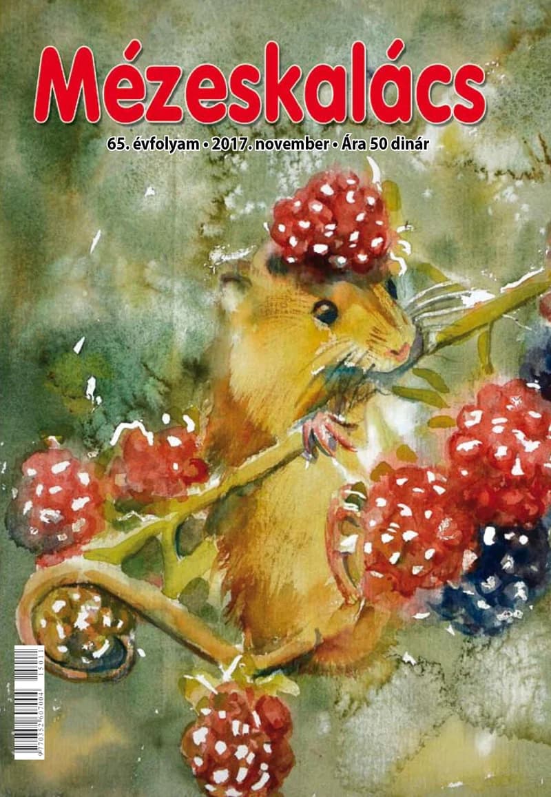 Mézeskalács, 65. évf. 2017. november. 9. sz.