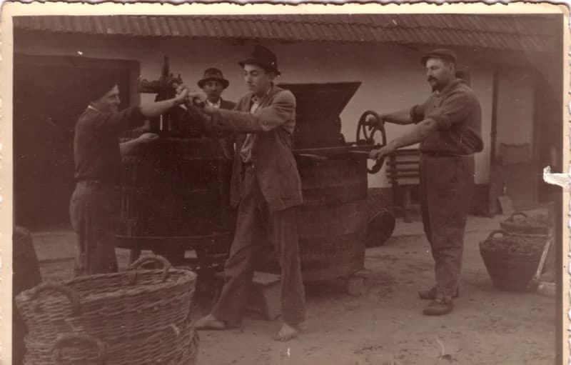 Szőlőpréselés a Biacs  családnál