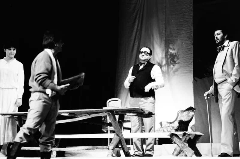 A Vajdasági Színházak Szemléje