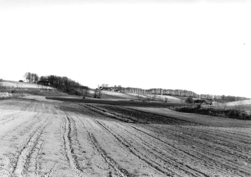 Szántóföldek a zentai határban