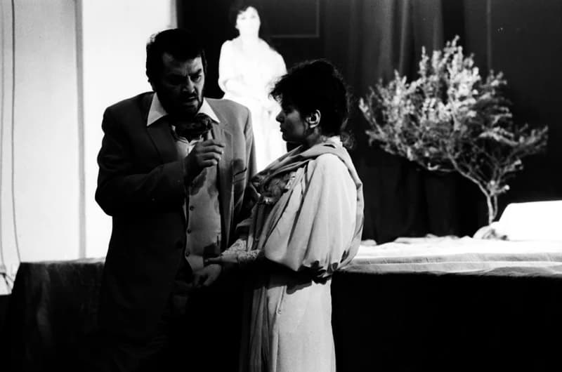 A Vajdasági Színházak Szemléje