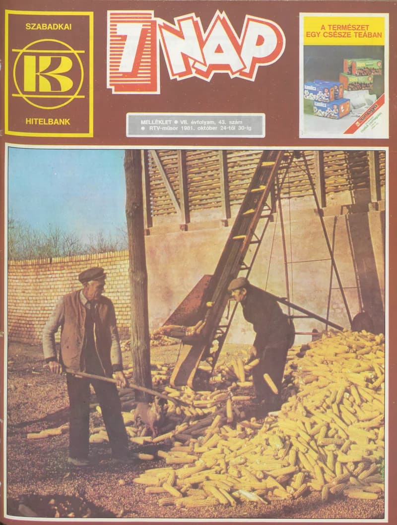 7 Nap melléklet, 7. évf. 1981. október 24. – 30. 43. sz.