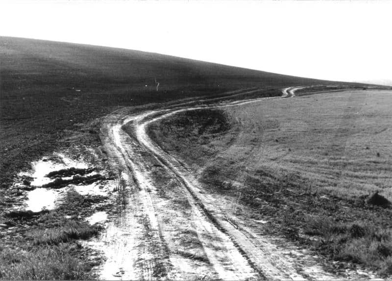 Szántóföldek a zentai határban