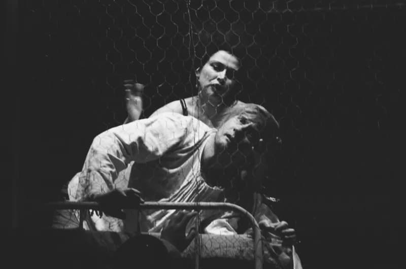 Tömöry Péter (r.), Tolnai Ottó: Paripacitrom 