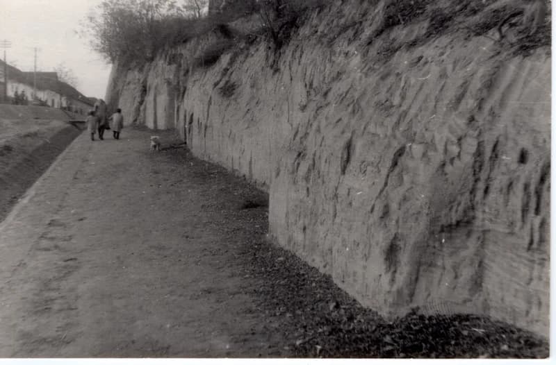 Oromhegyesi sárgapart