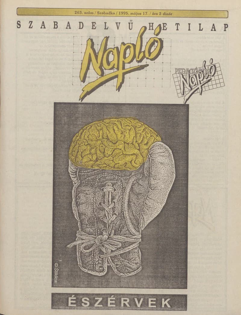 Napló - Szabadelvű hetilap, 6. évf. 1995. május 17. 263. sz.