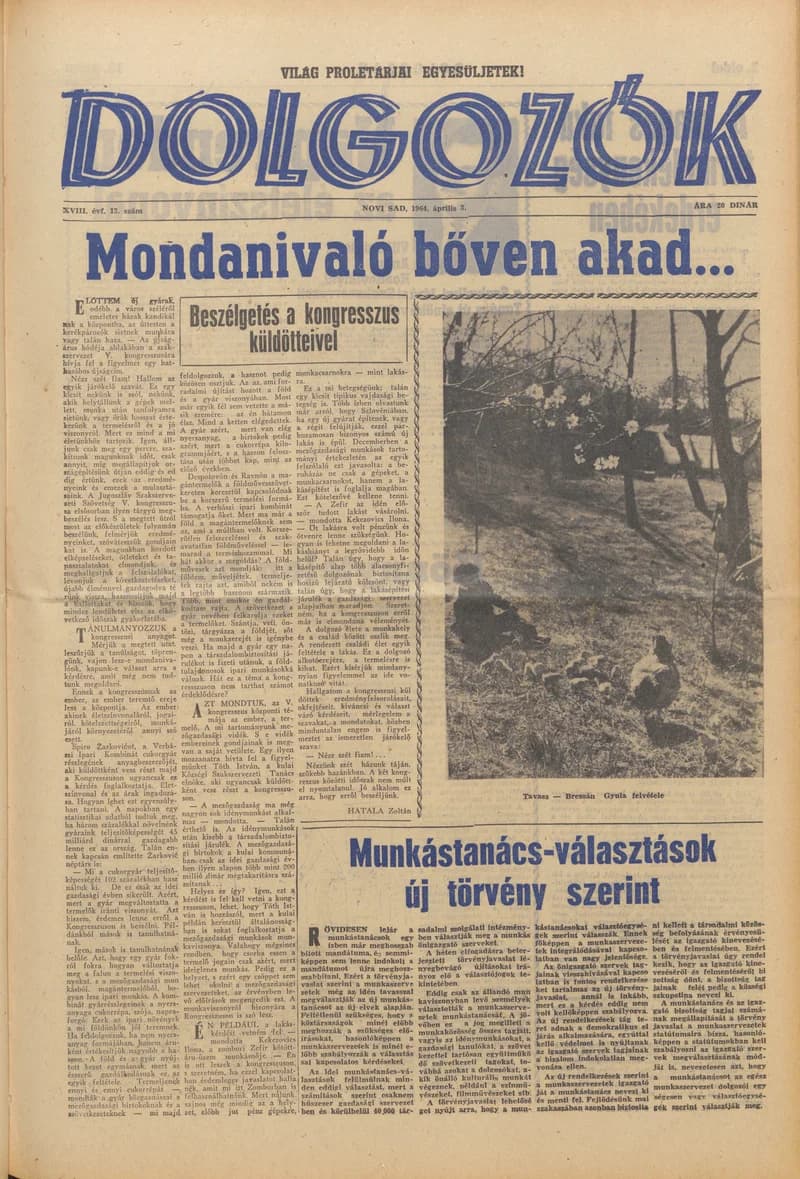 Dolgozók, 18. évf. 1964. április 3. 13. sz.
