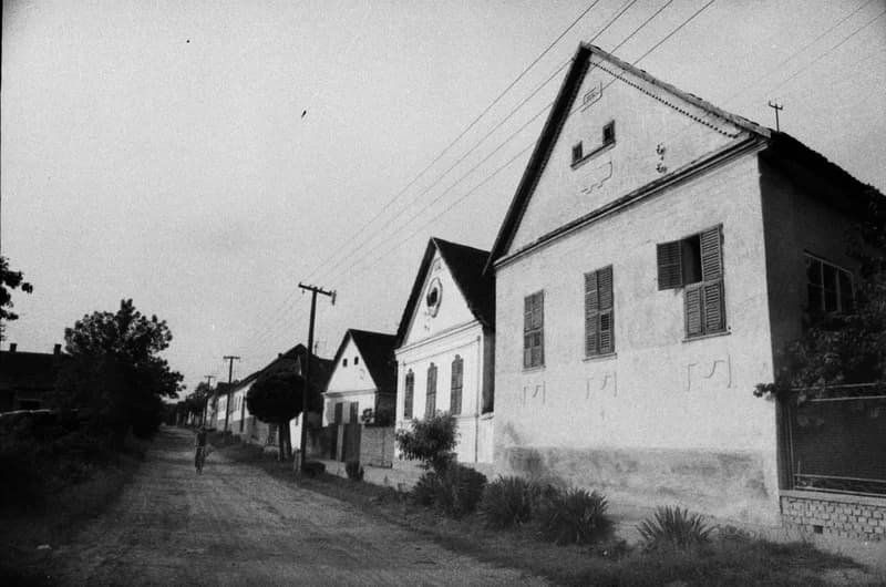 Székelyszabar, Baja, Budapest, Kecskemét, Pécs