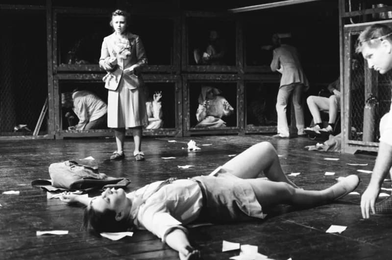 Tömöry Péter (r.), Tolnai Ottó: Paripacitrom 