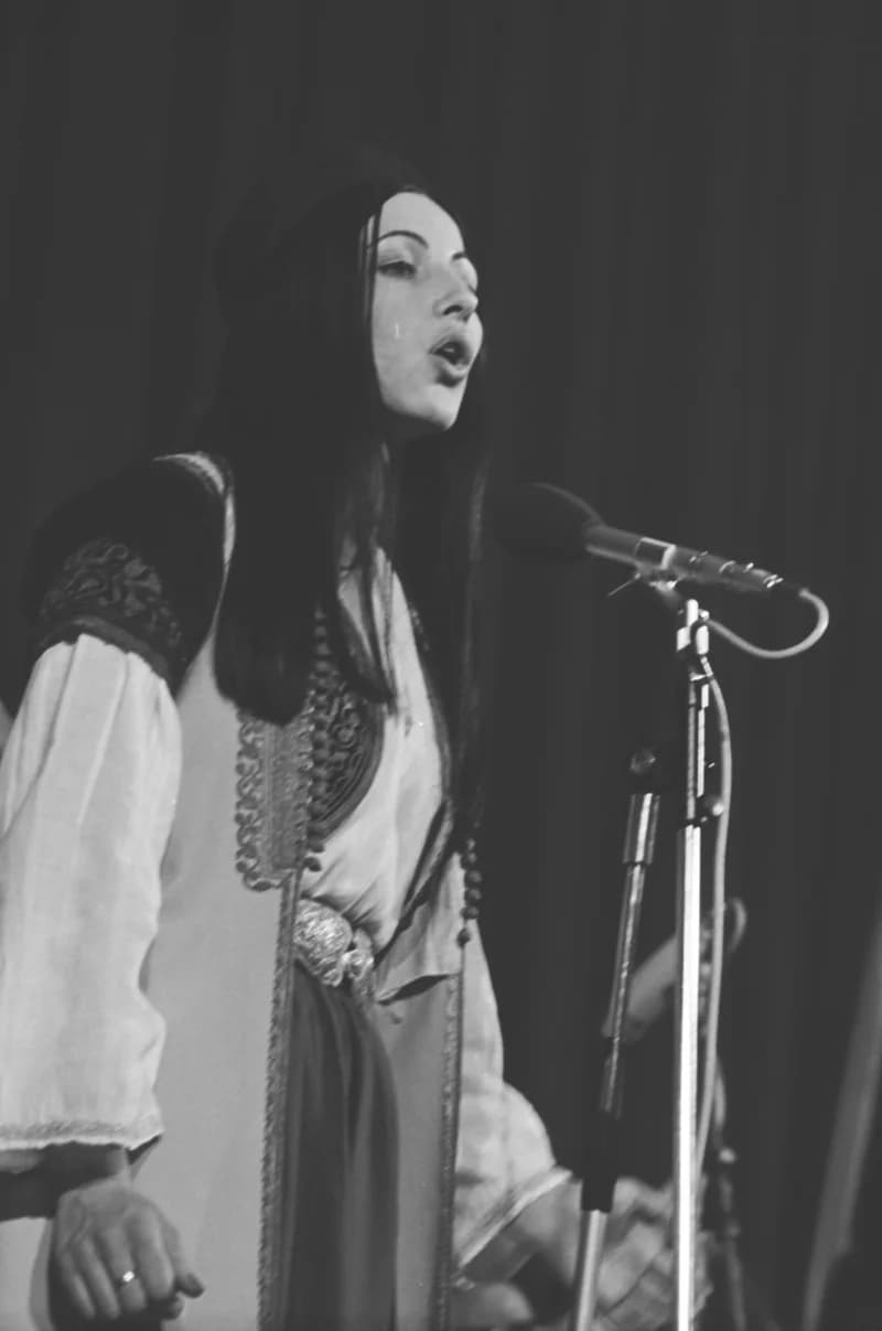 Oj Dunave, Dunave plavi