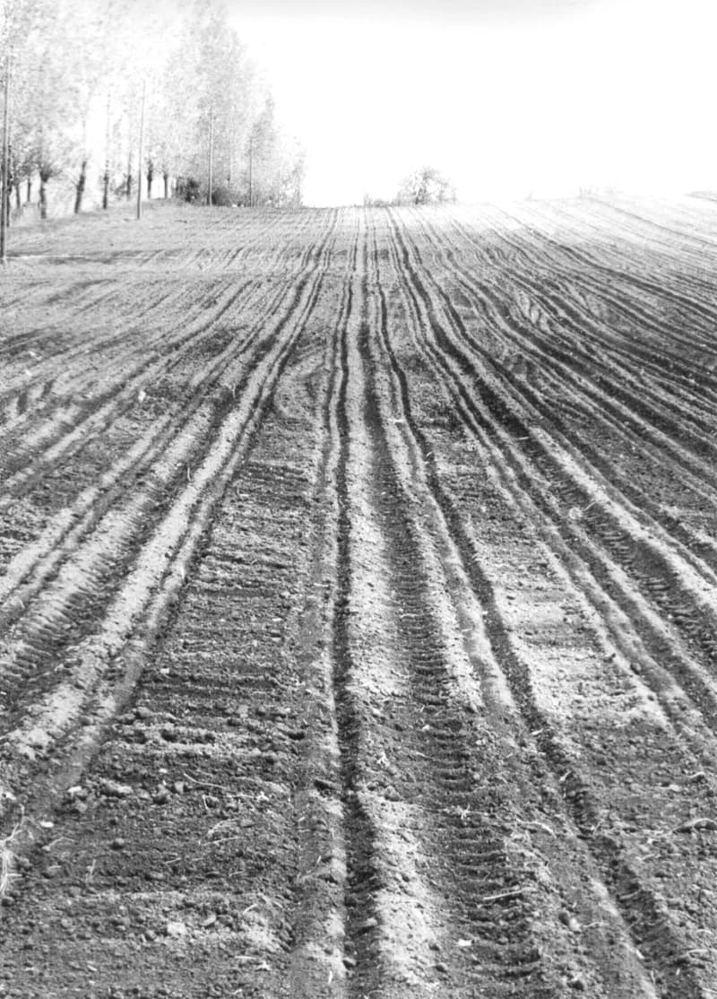 Szántóföldek a zentai határban