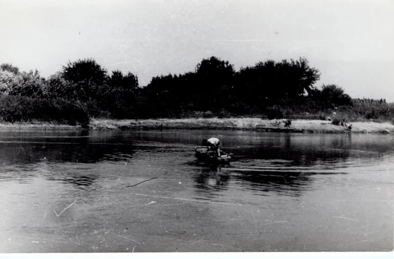 Véghorog felszedése