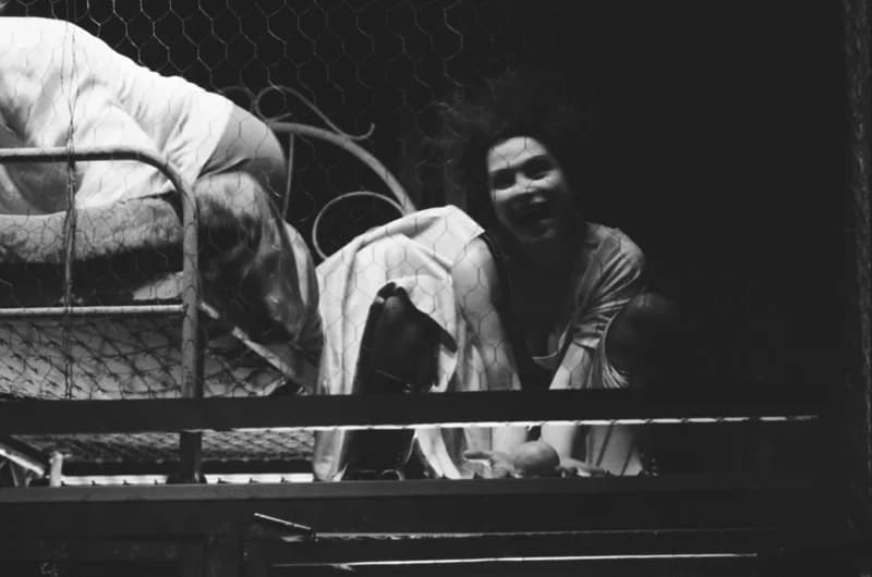 Tömöry Péter (r.), Tolnai Ottó: Paripacitrom 