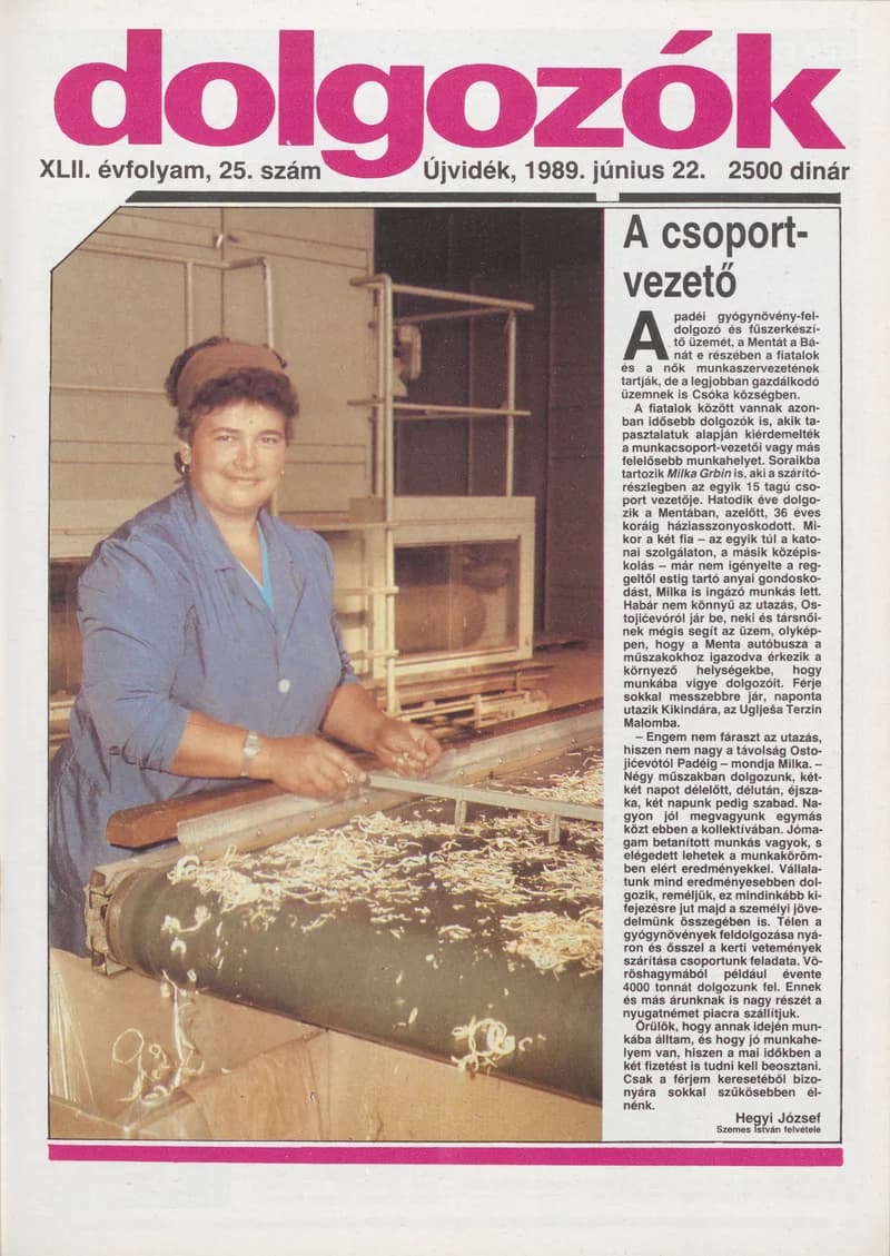 Dolgozók, 43. évf. 1989. június 22. 25. sz.