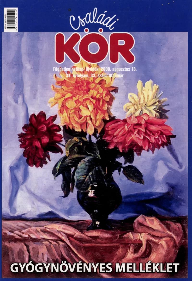 Családi Kör, 20. évf. 2009. augusztus 13. 33. sz.