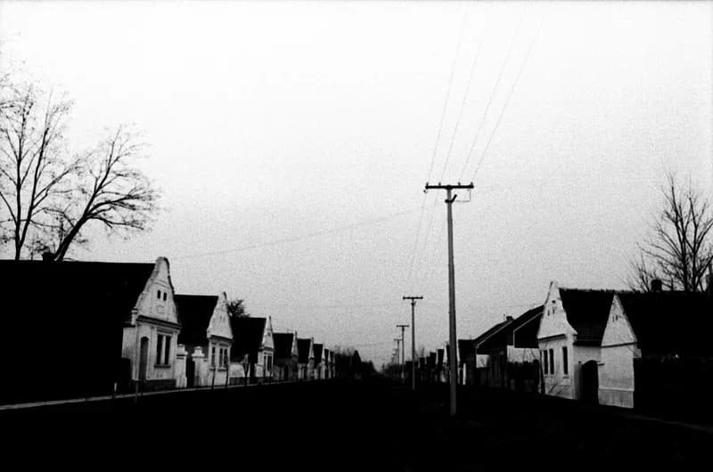 A Bartók Béla Művelődési Egyesületben