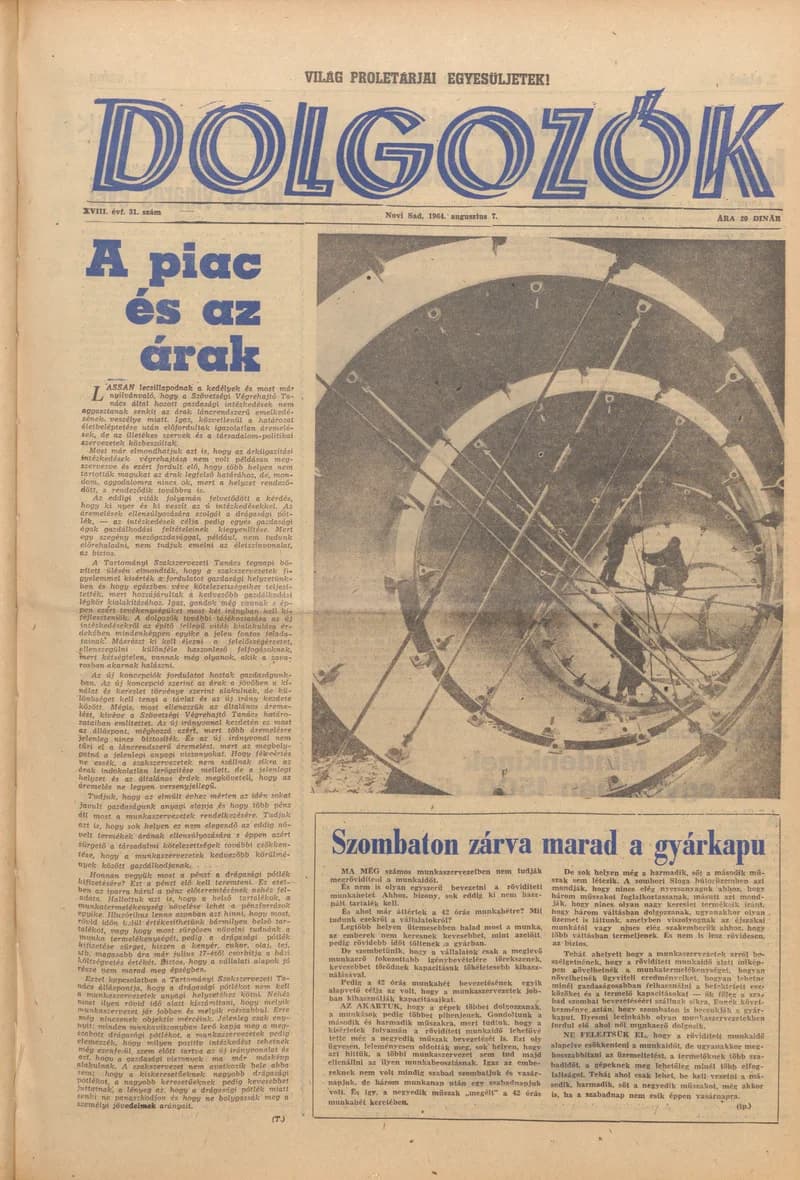 Dolgozók, 18. évf. 1964. augusztus 7. 31. sz.