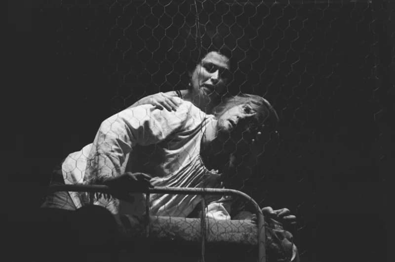 Tömöry Péter (r.), Tolnai Ottó: Paripacitrom 