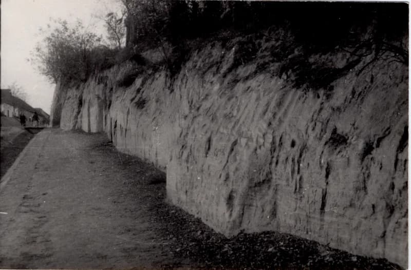 Oromhegyesi sárgapart