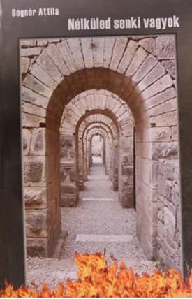 Nélküled senki vagyok